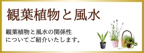 大きさ